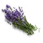 Luxury Lavender Essential Oils, soothing fragrance   a harmonious blend - CRYSTALOIL