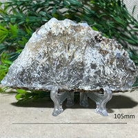 Crystal Natrural Agate Rutile Slab Slice Stone Reiki High Quality Beauty Healing Quartz Minerals Home Decoration + Stand - CRYSTALOIL