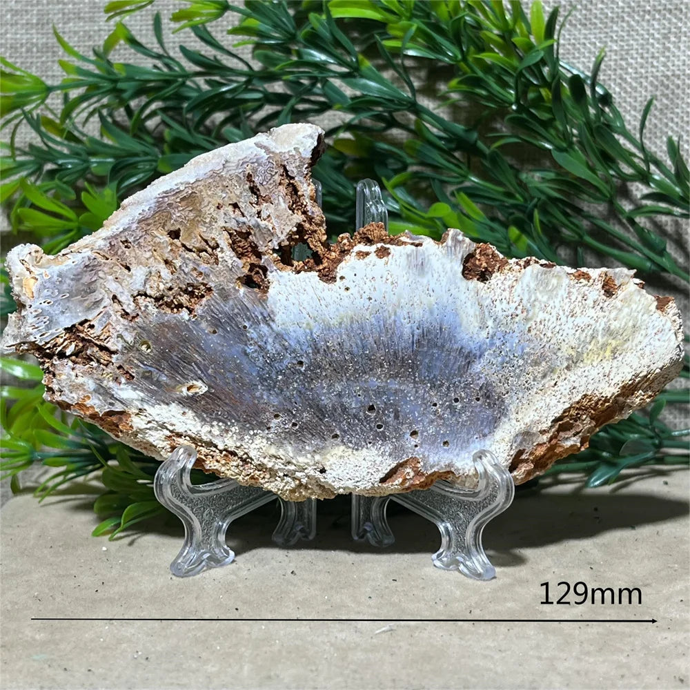Crystal Natrural Agate Rutile Slab Slice Stone Reiki High Quality Beauty Healing Quartz Minerals Home Decoration + Stand - CRYSTALOIL