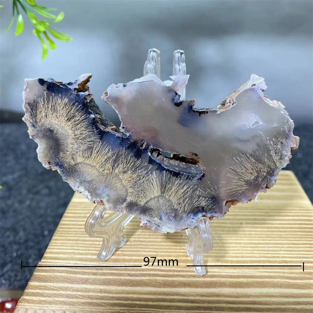 Crystal Natrural Agate Rutile Slab Slice Stone Reiki High Quality Beauty Healing Quartz Minerals Home Decoration + Stand - CRYSTALOIL