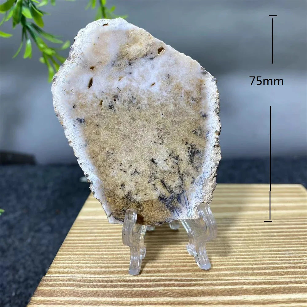 Crystal Natrural Agate Rutile Slab Slice Stone Reiki High Quality Beauty Healing Quartz Minerals Home Decoration + Stand - CRYSTALOIL